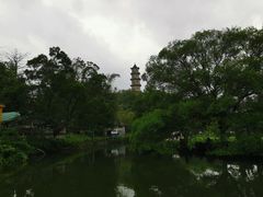 -江心屿景区