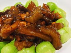 -朱记乳鸽王·非遗石岐乳鸽·全鸽宴(大兴旗舰店)