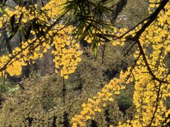 -四川大学(华西校区)