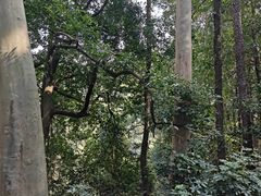 -白云山风景名胜区