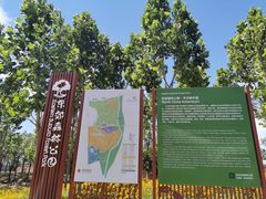 -东郊湿地公园