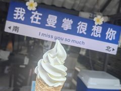 -野象谷景区