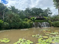 -中国科学院西双版纳热带植物园