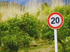 -舒家湾天主教堂