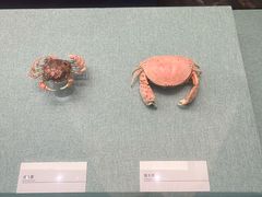 -上海中国航海博物馆