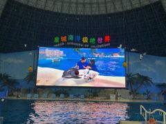 -泉城欧乐堡海洋极地世界