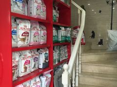 -瑞派天使宠物医院·神经外科·骨科·核磁(洛川中路店)