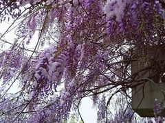 -白塘生态植物园