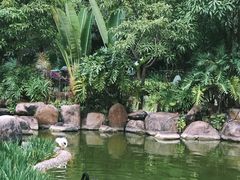-西双版纳洲际度假酒店-海鲜傣味烧烤·侬香全日制餐厅