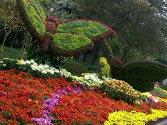 -万达影城(银兴菲林店)