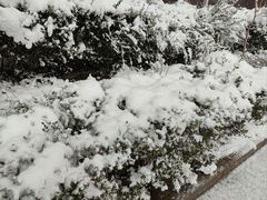 -吾悦广场(渭南店)