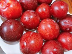 -山大王菌莊