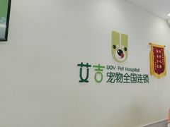 -艾吉宠物医院·疑难杂症转诊中心·猫友好(碧江路院)