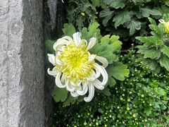 -无锡惠山寺