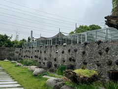 -桃园农庄·桃源宴