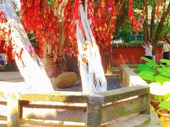 -白帝城·瞿塘峡景区