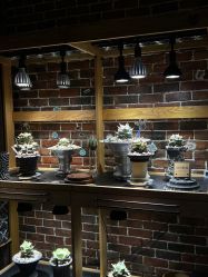 -青木造型HAIR·あおき髪を刈る潮人店