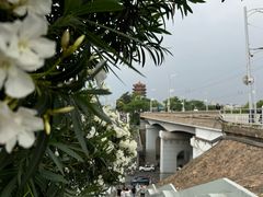 -黄鹤楼