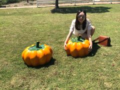 -歌斐颂巧克力小镇