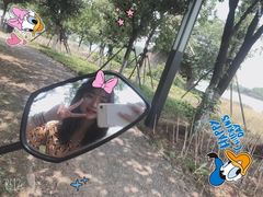 -Helens海伦司小酒馆(王家湾人信汇店)