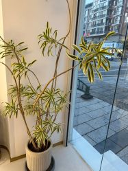 -WENDY·温迪皮肤管理