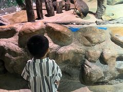 -正佳雨林生态植物园
