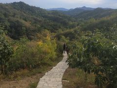 -蟠龙山长城景区