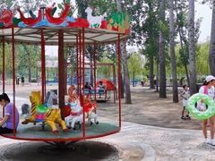 -东方巨龟苑景区