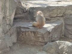-宁波野生动物园