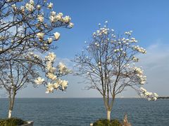 -阳澄湖半岛旅游度假区