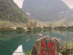 -靖西鹅泉风景区