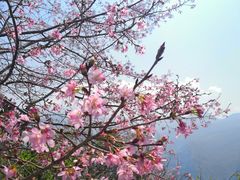 -老英格兰庄园