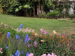 -深圳国际园林花卉博览园