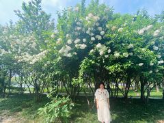 -蠡湖大桥公园