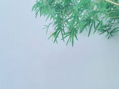 -拙政园