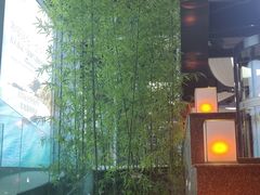 -昆仑和悦酒店(青岛奥帆中心五四广场店)
