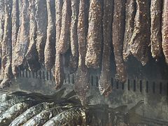 -玛扎烧烤私房菜