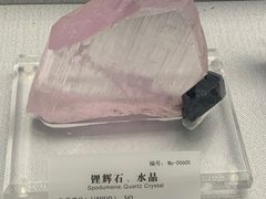 -湖南省地质博物馆