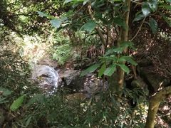 -火炉山森林公园