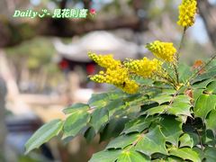 -绮园景区