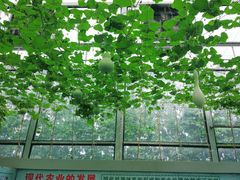-迪茵湖田家舍生态农场