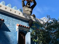 -北京野生动物园