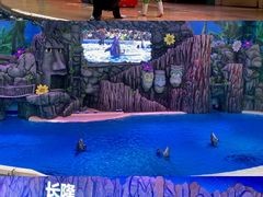 -珠海长隆海洋王国