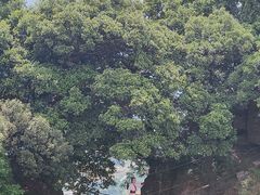 -窦圌山风景区