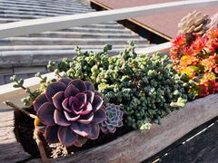 -唐咖精品咖啡(大理古城手冲店)