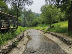-白水寺森林公园