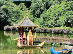 -西双版纳原始森林公园