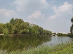 -水西公园