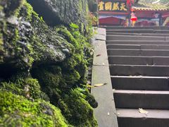 -青城山