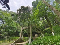 -莫干山风景区